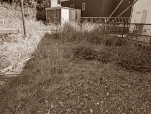 お庭の雑草対策-いずれやろうと思っているけれど・・・　面倒な防草シート敷き